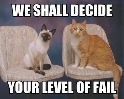 cats_fail-14143