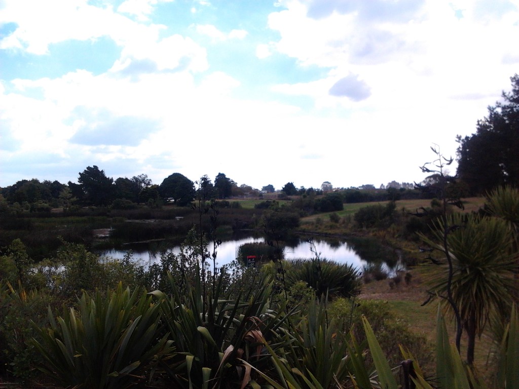 Looking over storm water pond to North Western flank of the park. New Social Housing development to occur behind that flank