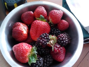 Strawberries and Boysenberries. Source: Own